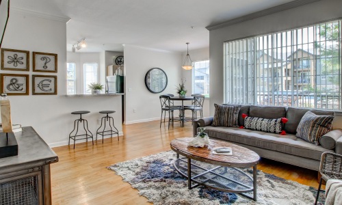 Open space living area with natural lighting